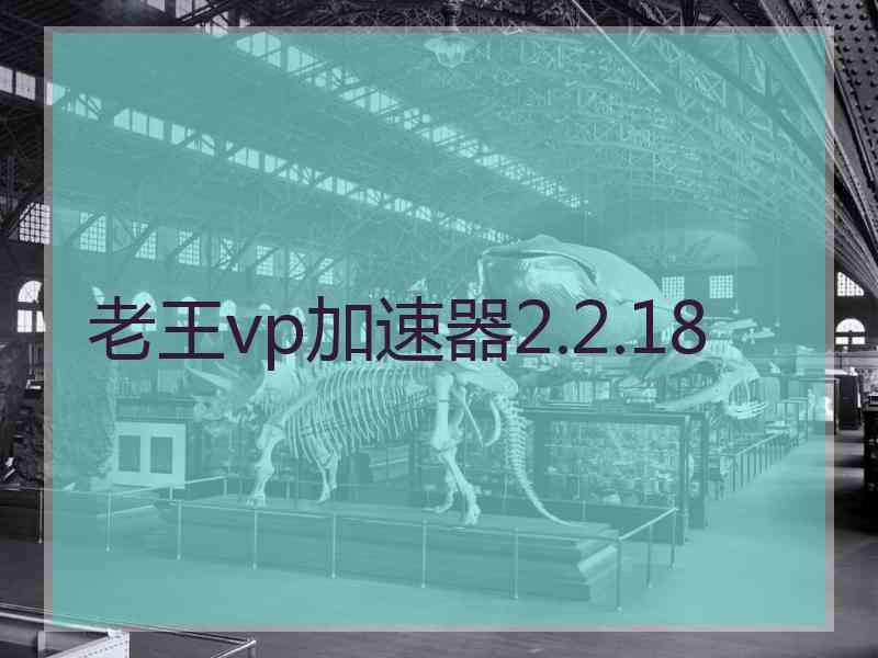 老王vp加速器2.2.18 老王vp加速器2.2.18