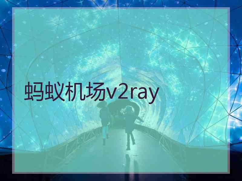 蚂蚁机场v2ray 蚂蚁机场v2ray