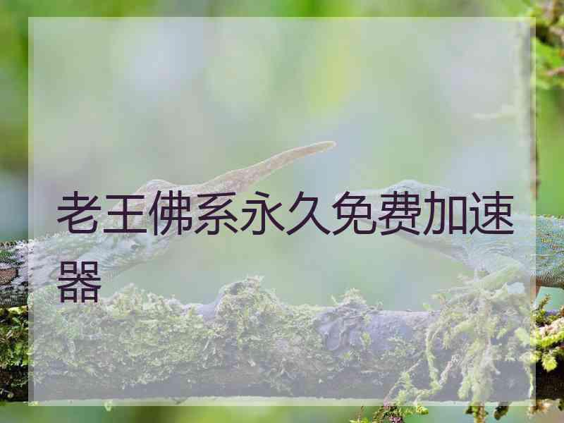 老王佛系永久免费加速器 老王佛系永久免费加速器