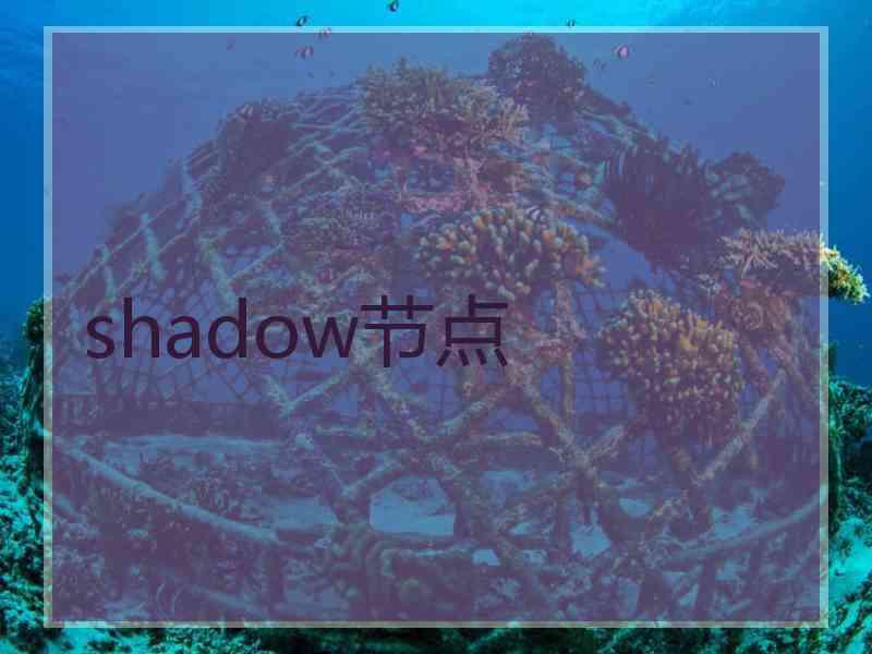 shadow节点 shadow节点