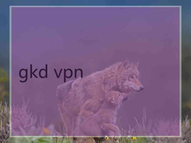 gkd vpn gkd vpn