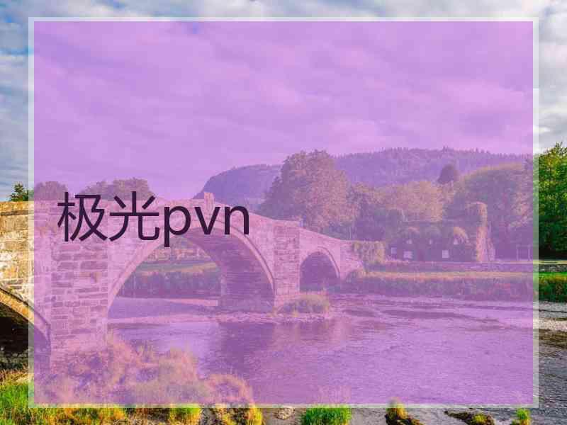 极光pvn 极光pvn