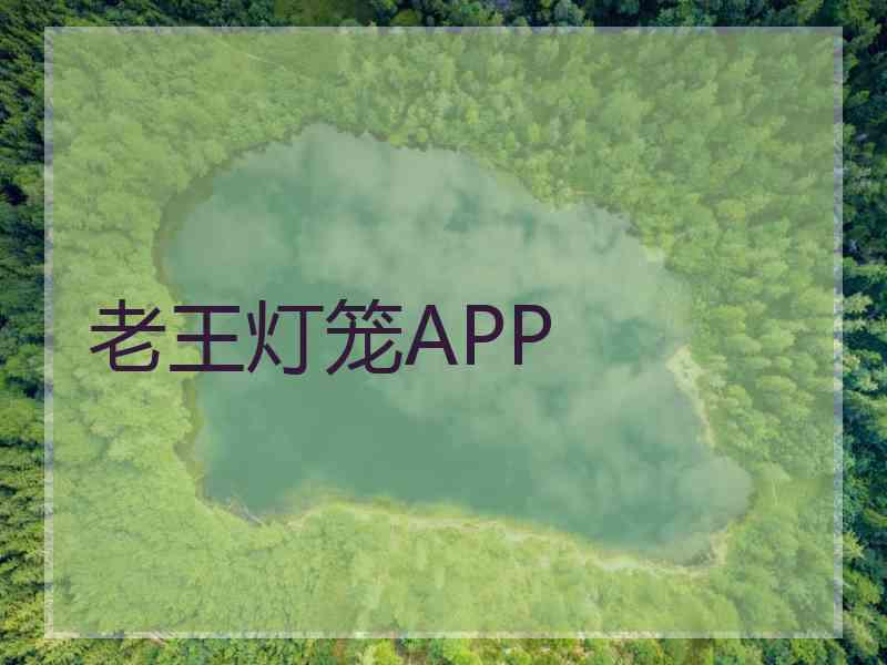 老王灯笼APP 老王灯笼APP