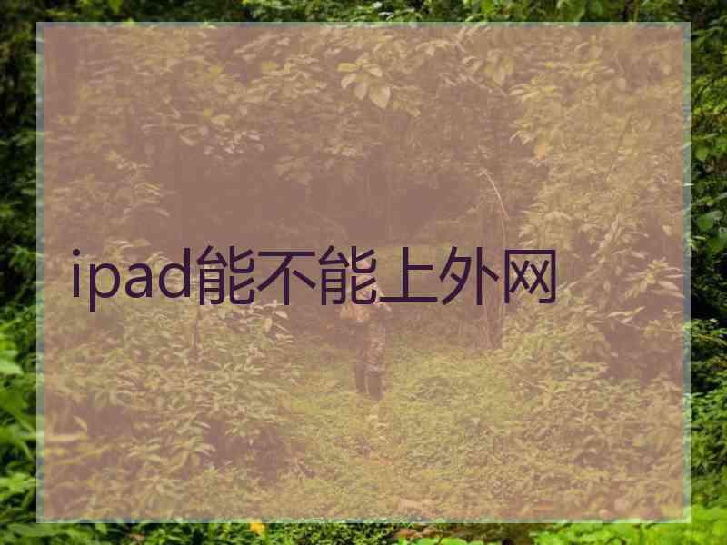 ipad能不能上外网 ipad能不能上外网