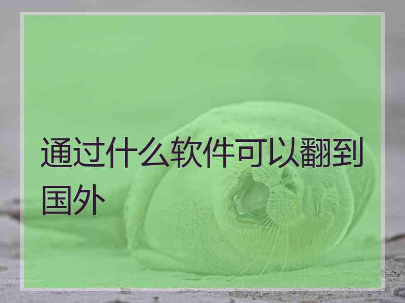 通过什么软件可以翻到国外 通过什么软件可以翻到国外