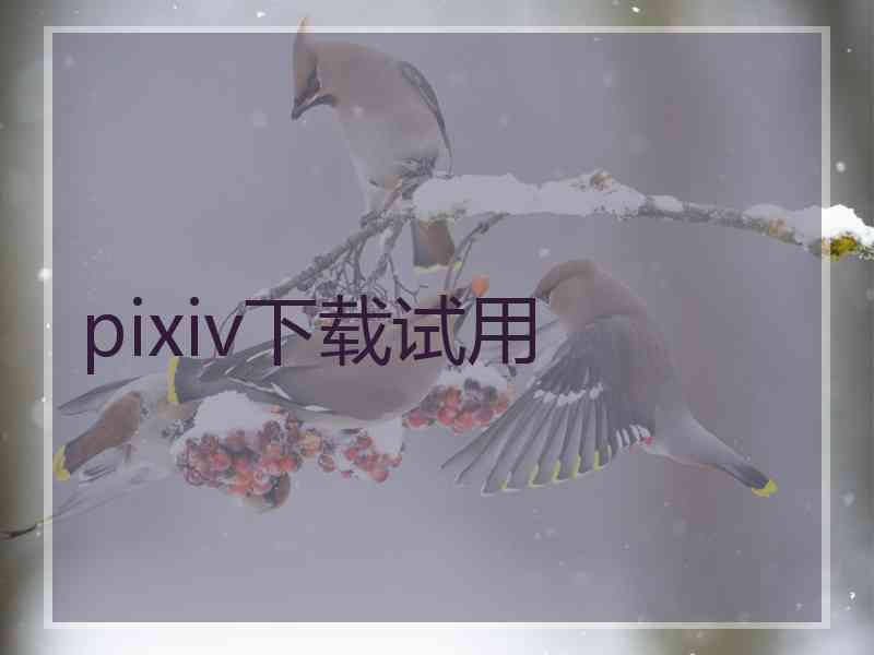 pixiv下载试用 pixiv下载试用