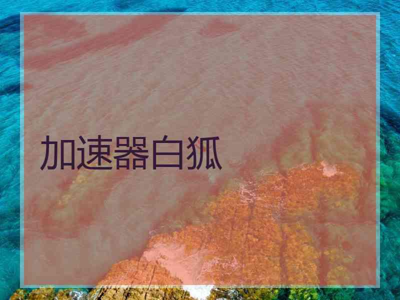 加速器白狐 加速器白狐