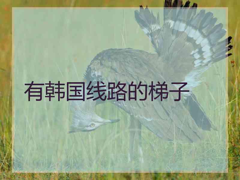 有韩国线路的梯子 有韩国线路的梯子