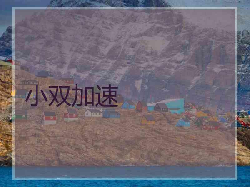 小双加速 小双加速