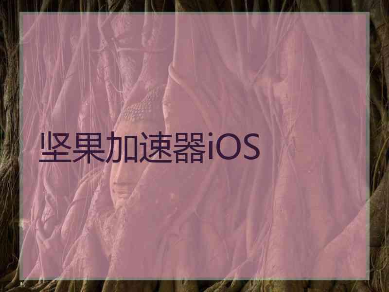 坚果加速器iOS 坚果加速器iOS
