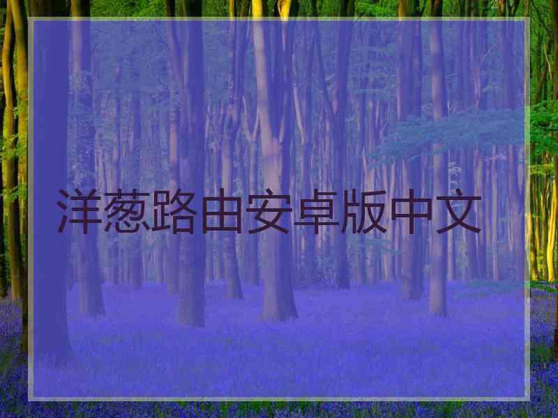 洋葱路由安卓版中文