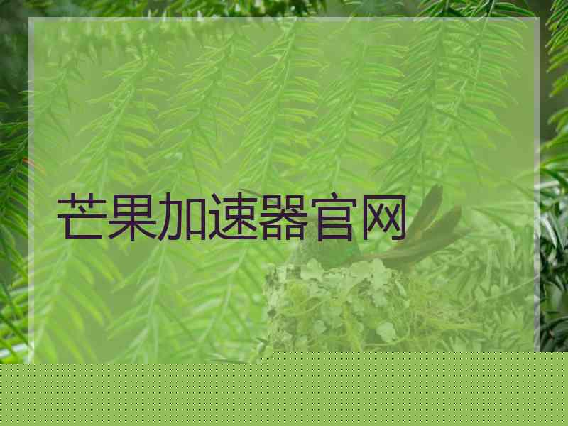 芒果加速器官网