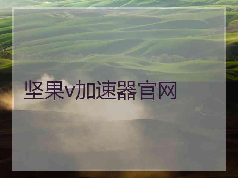 坚果v加速器官网