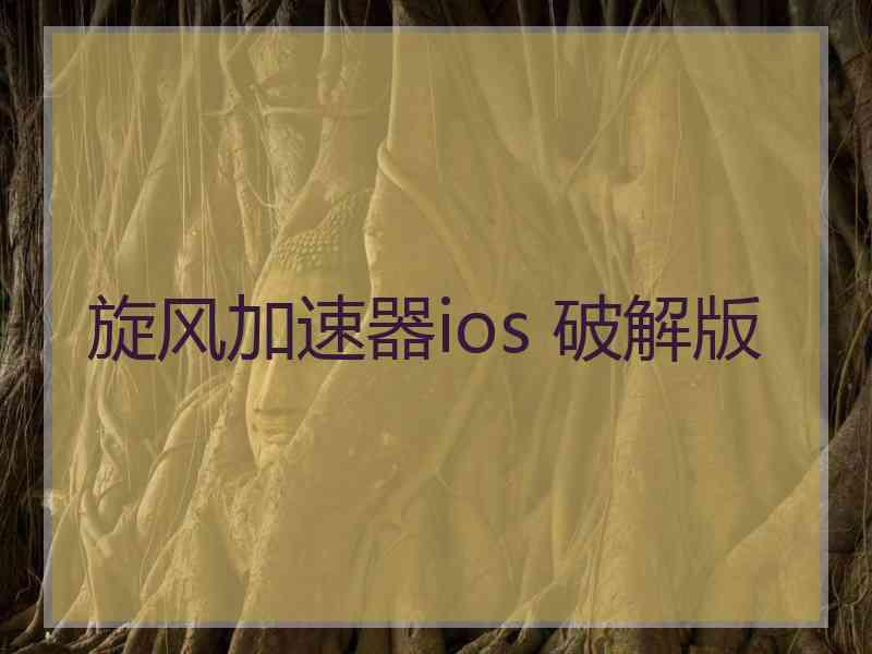 旋风加速器ios 破解版