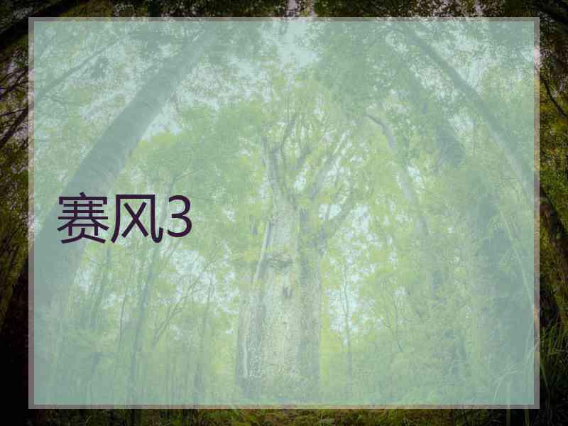 赛风3