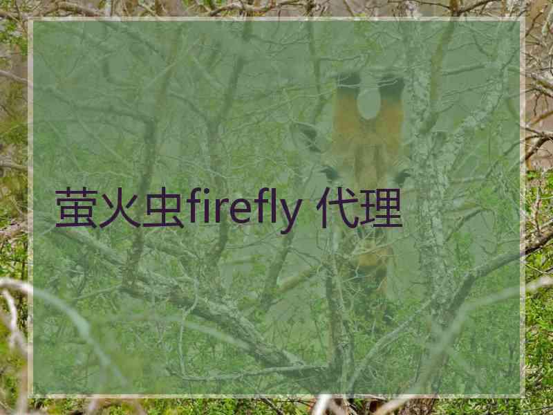 萤火虫firefly 代理