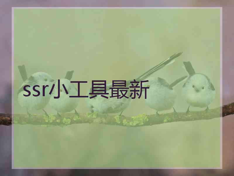 ssr小工具最新
