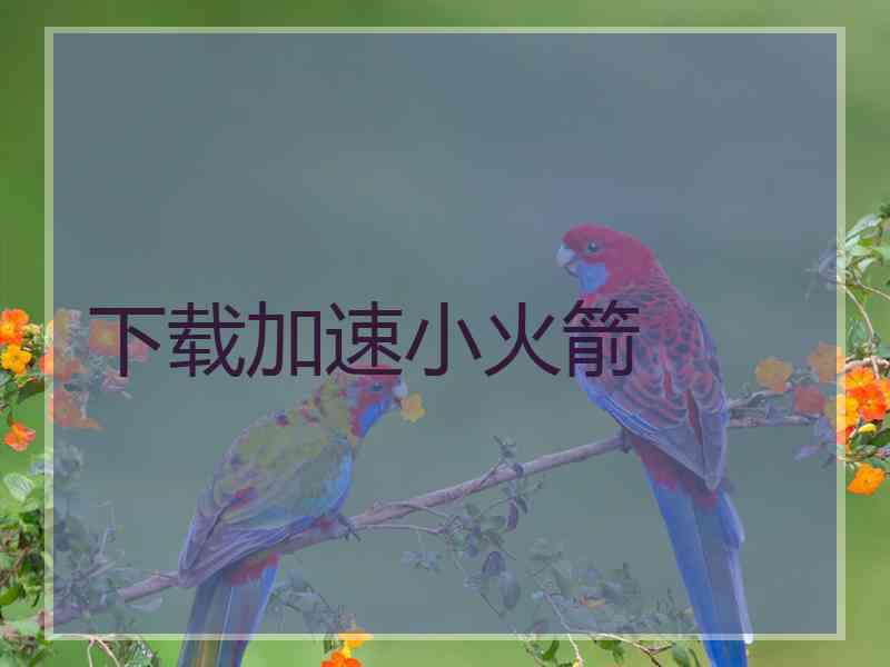 下载加速小火箭