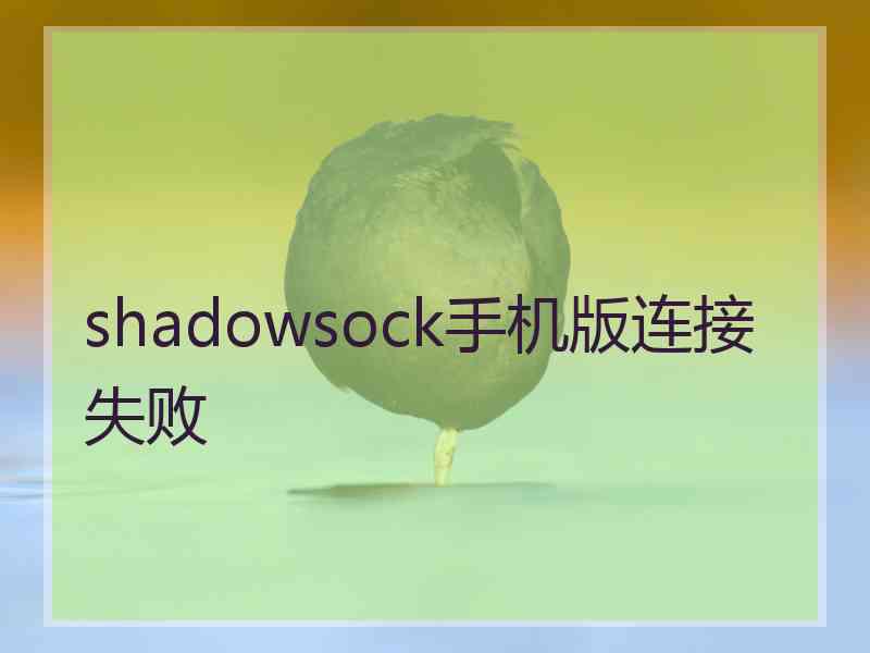 shadowsock手机版连接失败