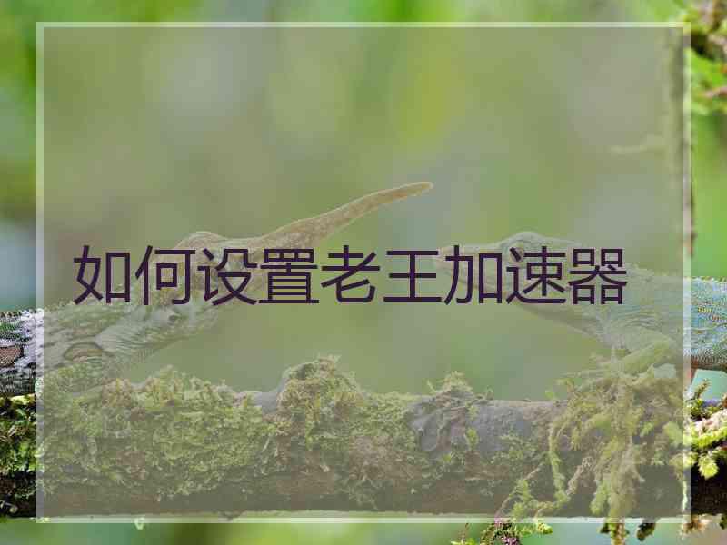如何设置老王加速器