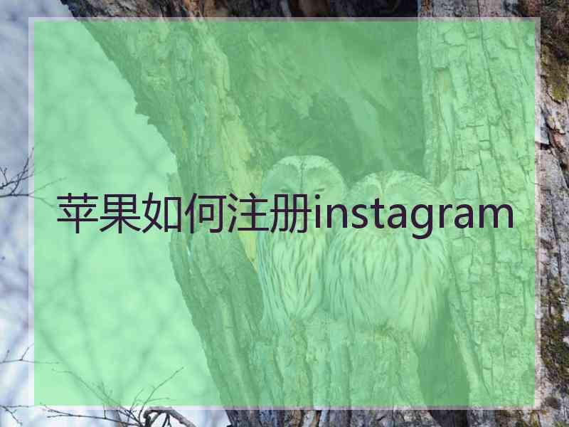 苹果如何注册instagram