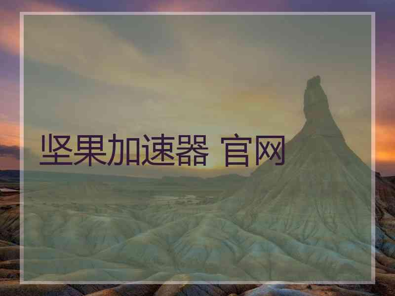 坚果加速器 官网
