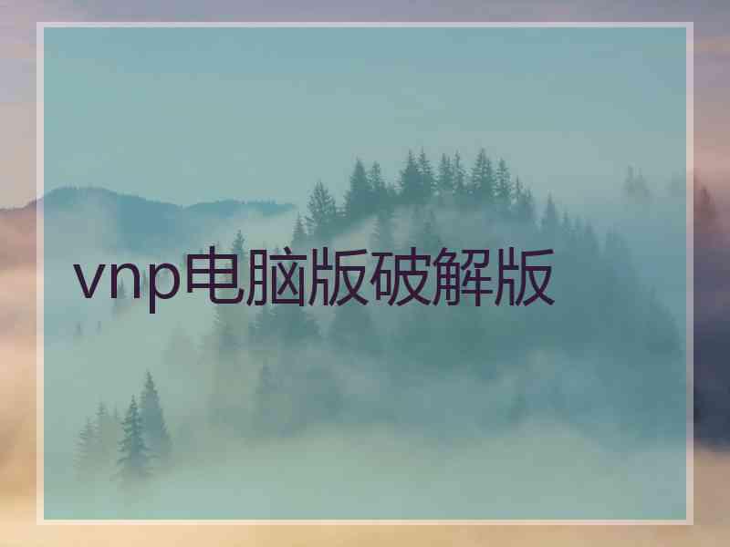 vnp电脑版破解版