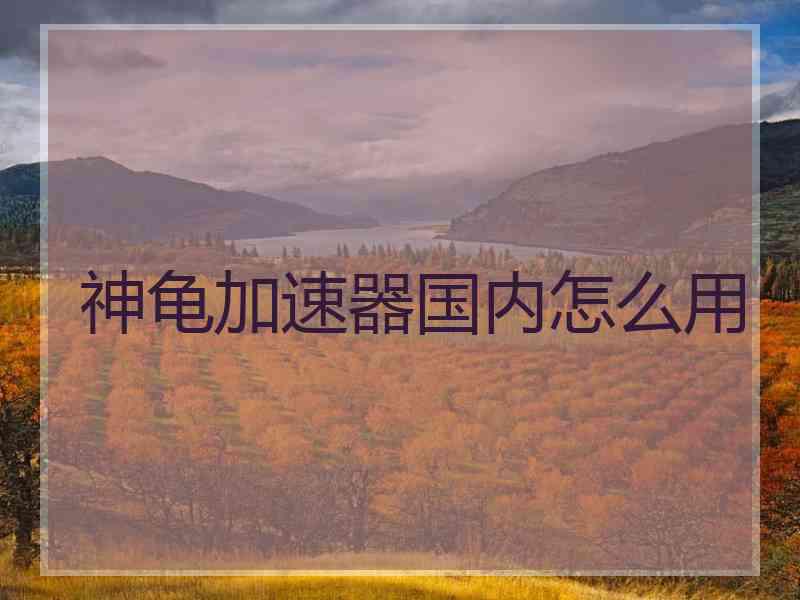 神龟加速器国内怎么用