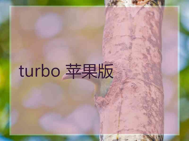 turbo 苹果版