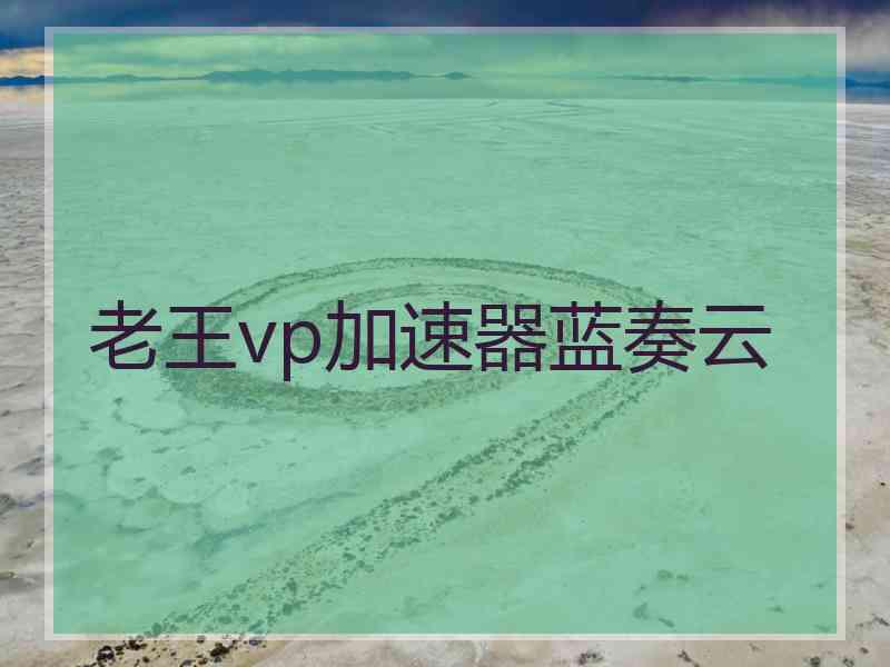 老王vp加速器蓝奏云