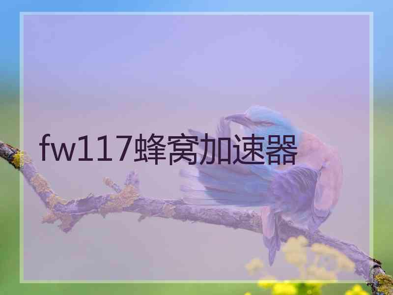 fw117蜂窝加速器