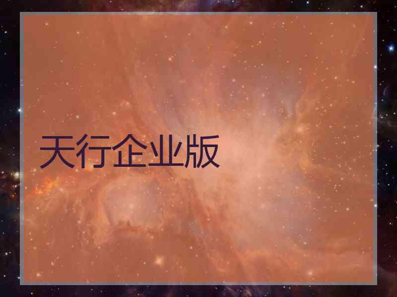 天行企业版