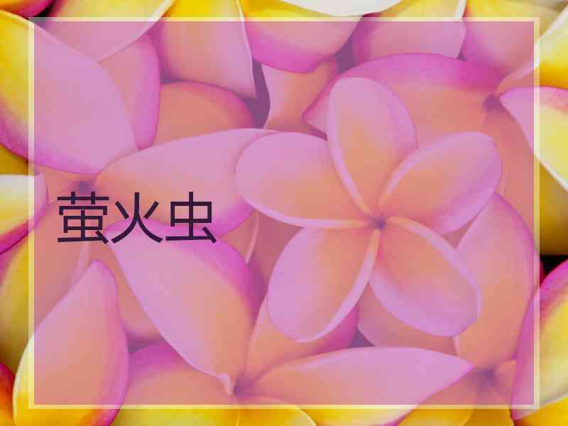 萤火虫