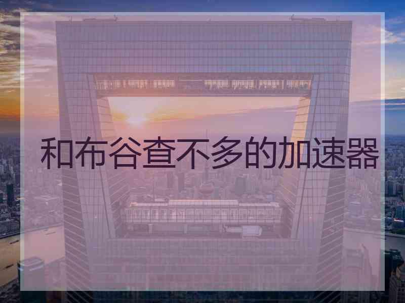 和布谷查不多的加速器