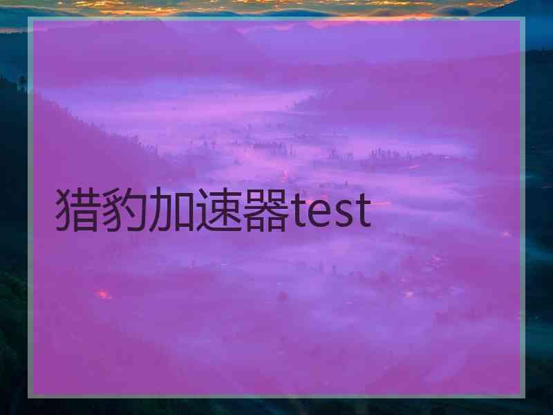 猎豹加速器test