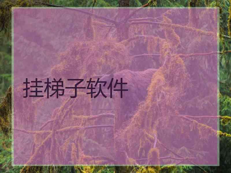 挂梯子软件