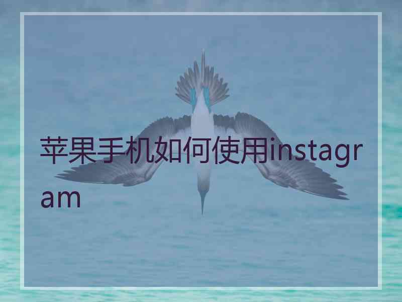 苹果手机如何使用instagram