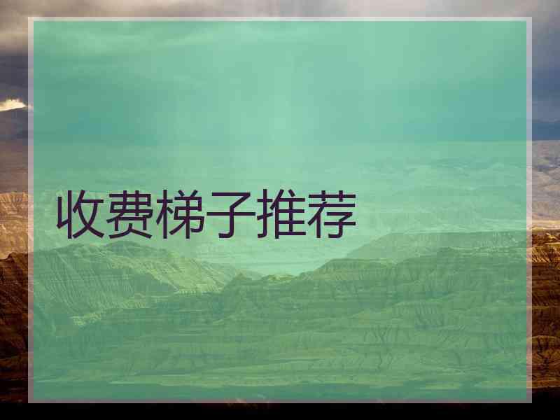 收费梯子推荐