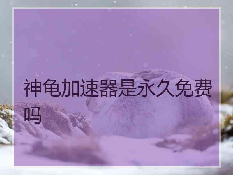 神龟加速器是永久免费吗