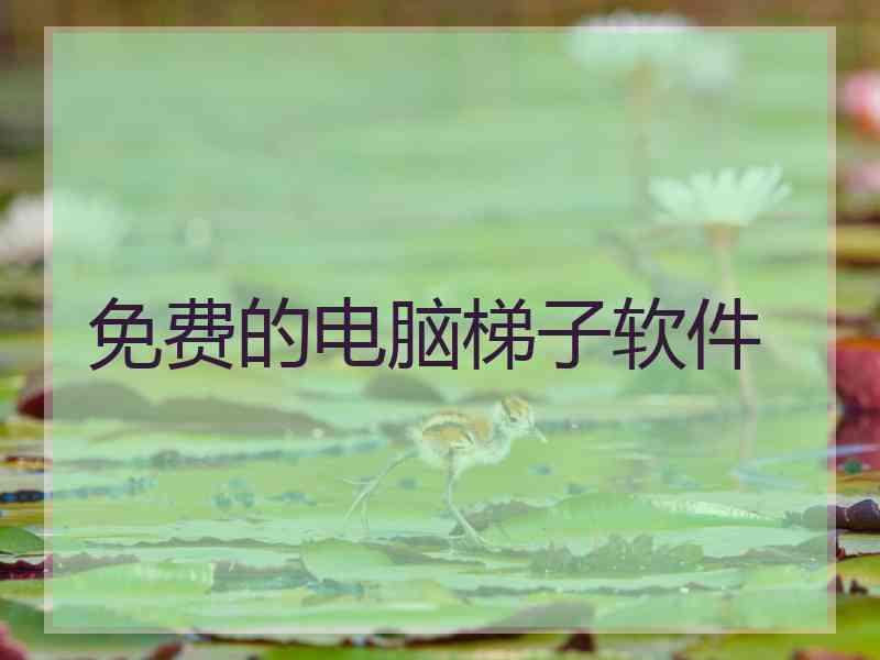 免费的电脑梯子软件
