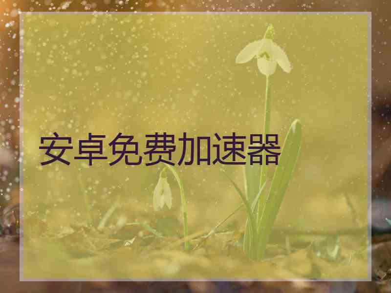 安卓免费加速器