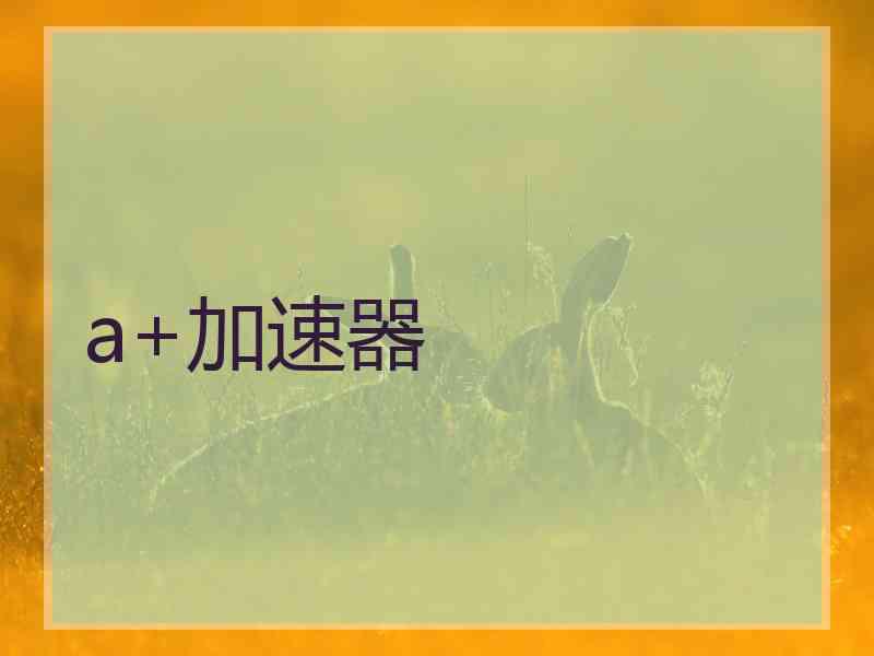 a+加速器