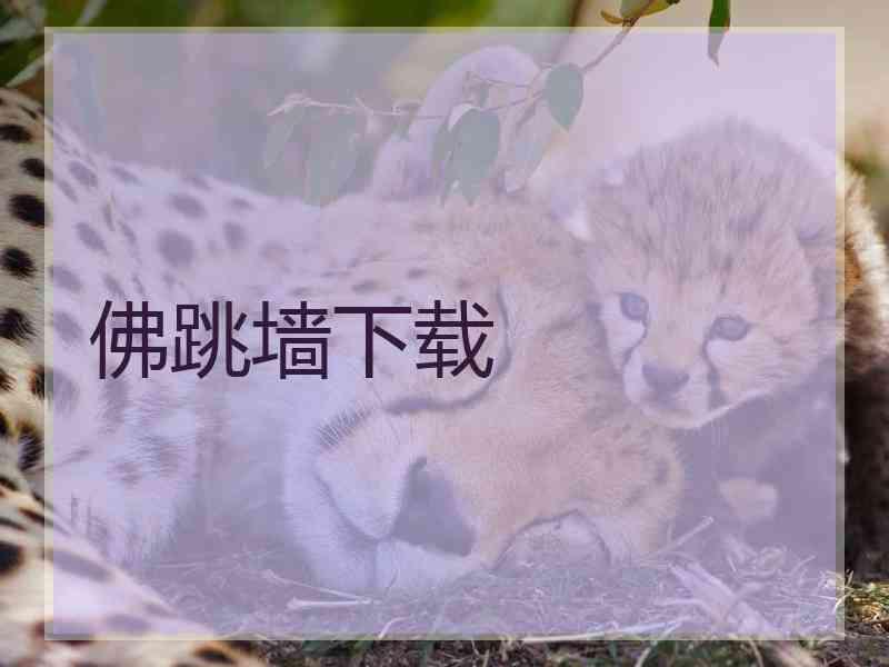 佛跳墙下载