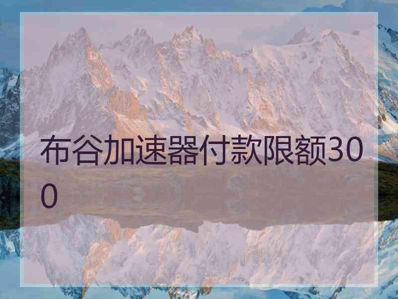 布谷加速器付款限额300