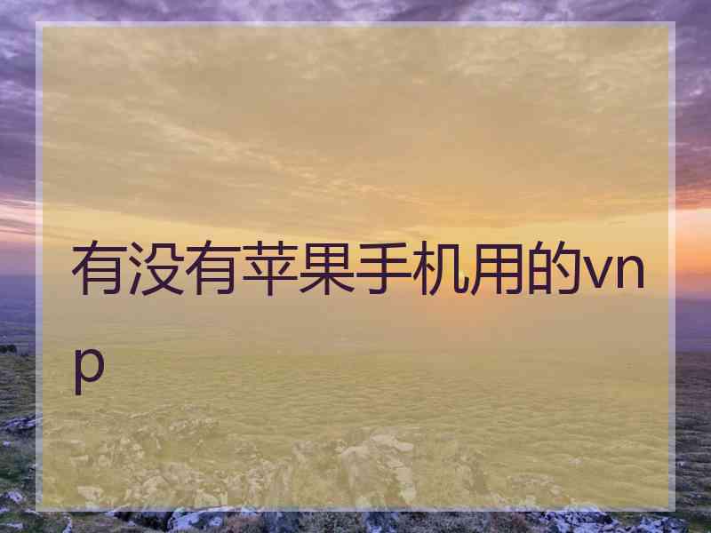 有没有苹果手机用的vnp