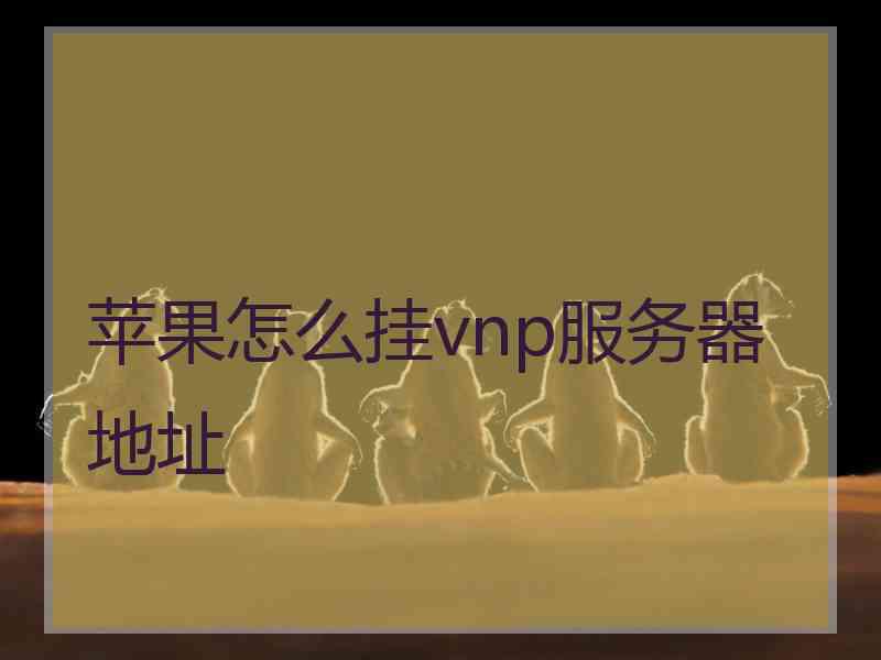 苹果怎么挂vnp服务器地址