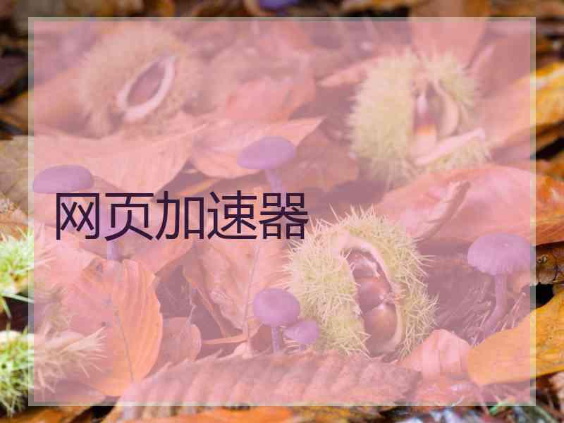 网页加速器