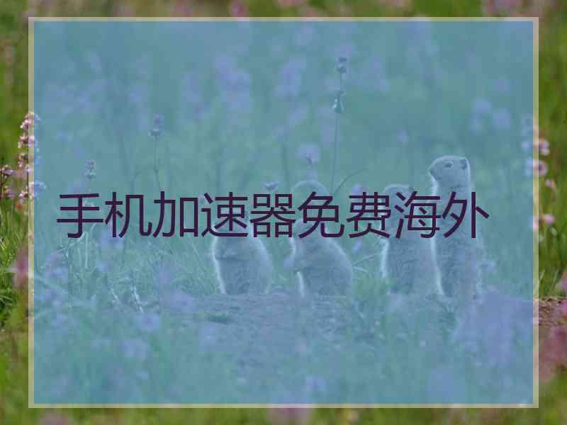 手机加速器免费海外