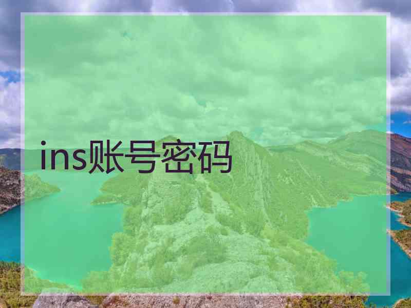 ins账号密码
