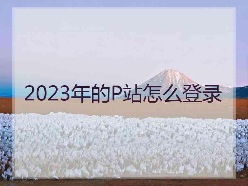 2023年的P站怎么登录